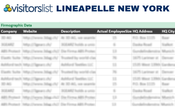 LINEAPELLE NEW YORK