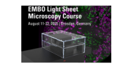 Light Sheet Microscopy