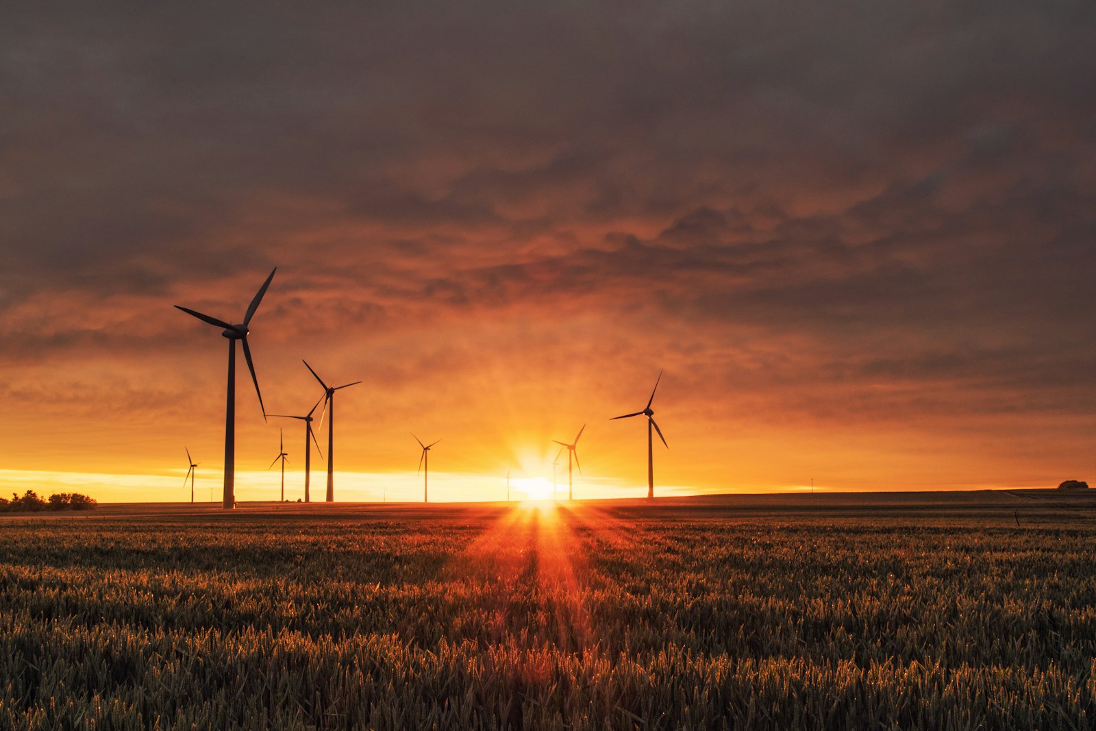 EnergyDecentral 2026 Exhibitors List & Attendees List – Power & Energy